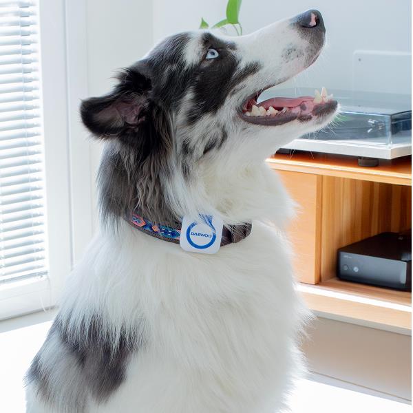 Pet GPS Finder - app TUYA - immagine 3